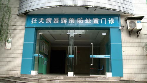 狂犬病 為何發(fā)病后致死率高達(dá)99.9%，每年5.5萬(wàn)人死亡的警示