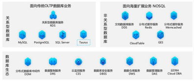 華為云數(shù)據(jù)庫的演進(jìn)之路 深度剖析其優(yōu)勢積累與技術(shù)戰(zhàn)略選擇